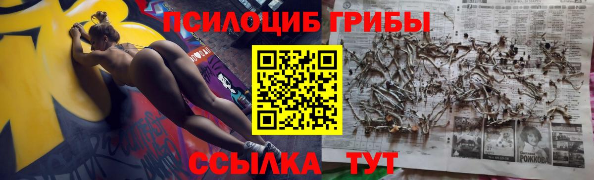 Псилоцибиновые грибы GOLDEN TEACHER Кунгур