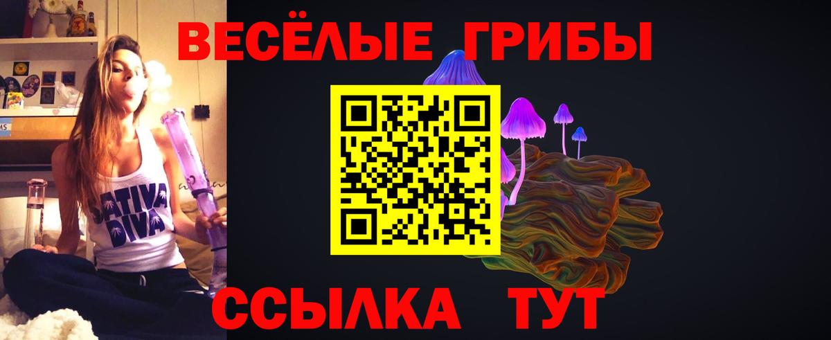 Псилоцибиновые грибы Psilocybine cubensis  закладка  Кунгур  Вход с VPN 