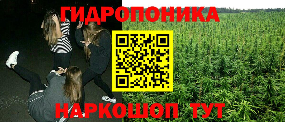 Бошки марихуана Ganja Кунгур